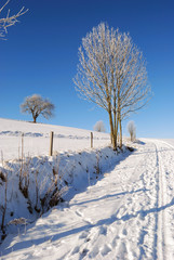 Winterweg