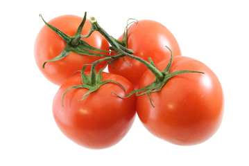 Vine Tomatoes