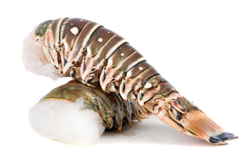 Raw lobster - 11420268