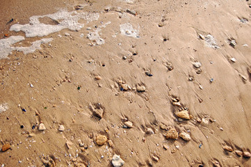 Send on beach, Odessa Ukraine