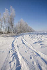Fototapeta na wymiar Frozen trees and snowy land road at winter