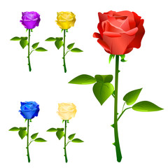 roses with different colors vector