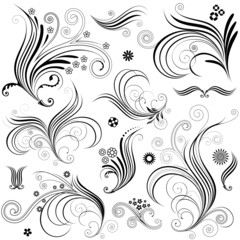 Fototapeta premium Bouquet Elements, black and white vector illustration.