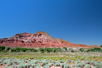 Zion National Park, USA..