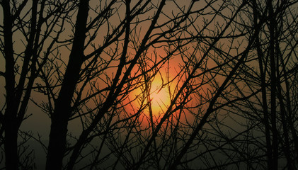 Obraz premium Misty Morning