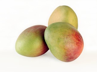 mango multicolor fruits