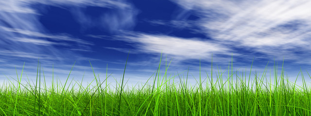 3d grass with perfect details and blue sky and clouds