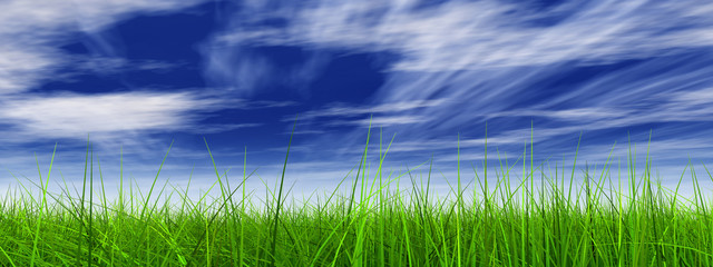 3d grass with perfect details and blue sky and clouds