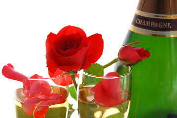 Saint Valentin - Champagne et Roses