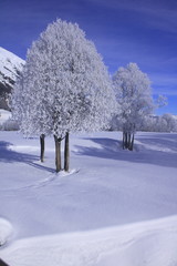 Winterlandschaft in Samedan