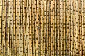 Wooden Sticks Texture