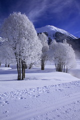 Winterlandschaft in Samedan