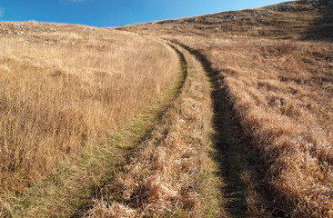 Fototapeta premium Country road through the grass field.