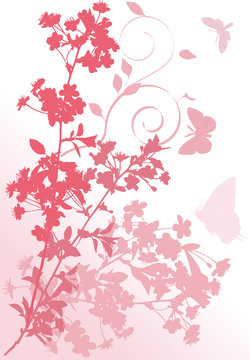 pink butterflies and cherry tree flowers