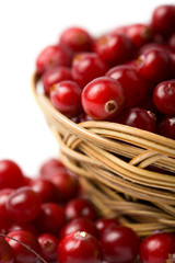 red cranberries isolated