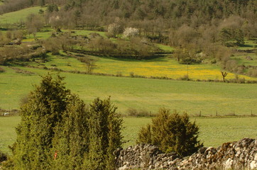 paysage du causse