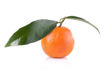 fresh tangerine