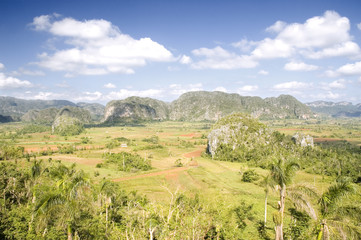 Fototapeta na wymiar viñales valley in pinar del rio. cuba