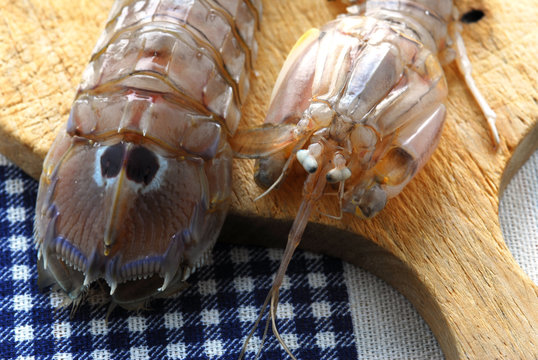 Canocchie - Squilla mantis