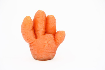 Hand  of carrots