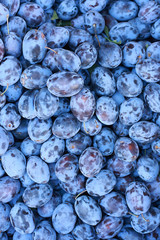 Plum on the market for background