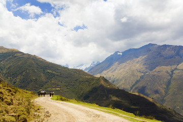 Fototapeta na wymiar On the road in Andes