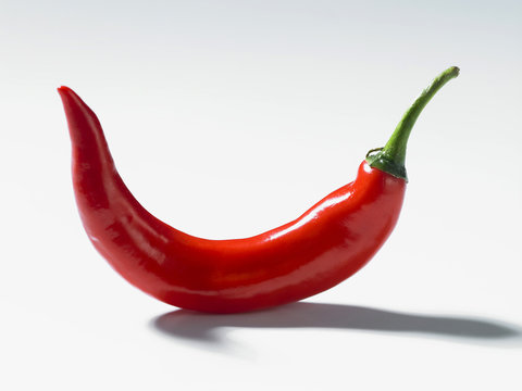a red chili  on the white back ground