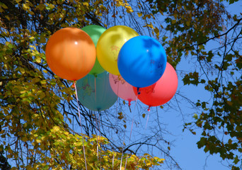 Balloons on the background of autumn leaves. © Wojciech Kozłowski