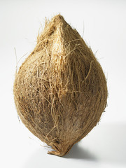 shot of coconut on the white background