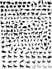 Big collection of different animals  silhouettes