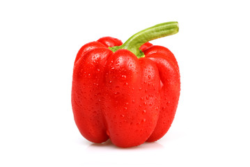 Red bulgarian pepper