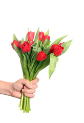 Strauß rote Tulpen