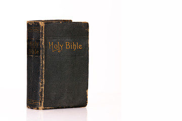 Holy Bibel