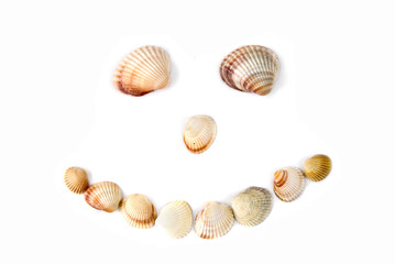 smile from various color shells isolated on white