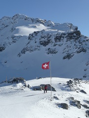 Alpen 7