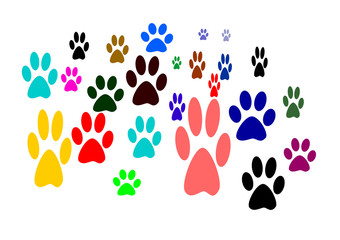 paw prints
