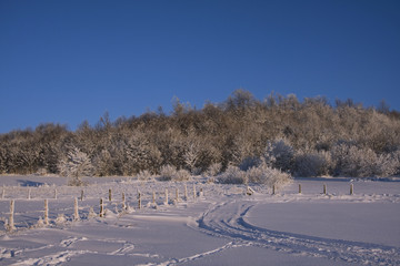 Winter, snow, nature.