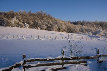 Winter, snow, nature.