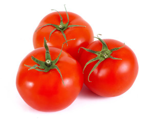 tomatoes