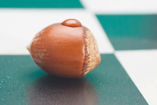 hazelnut
