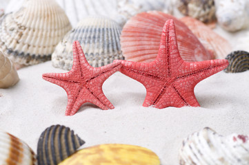 Starfish on sandy background