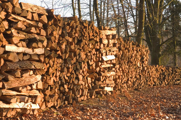 steres de bois