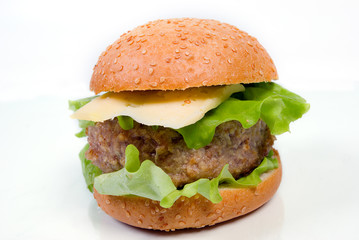 hamburger close-up