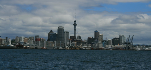 Obraz premium Auckland Cityscape