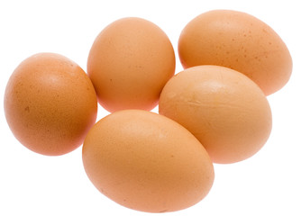 chicken eggs