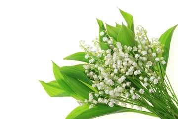 Wall murals Lily of the valley Lilies