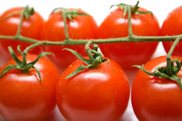 Ripe tomatoes