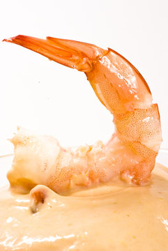 Prawn Cocktail