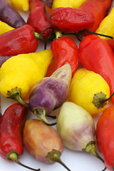 Peruvian Hot Peppers