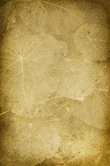 Fototapeta premium Vintage Broad Leaf Imprint Background